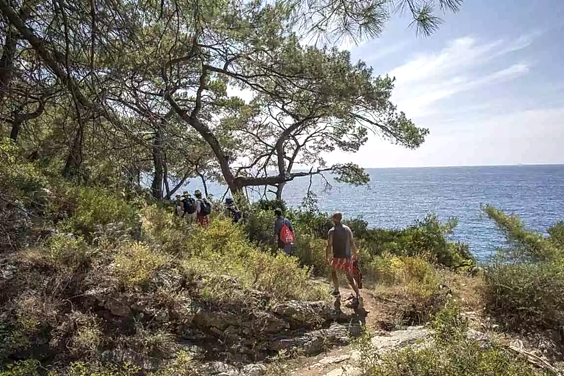 Perdue Doğa Yürüyüşü