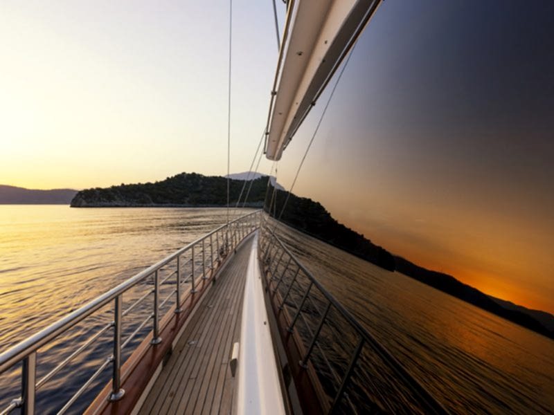 Perdue Mavi Yolculuk Perdue Mavi Yolculuk